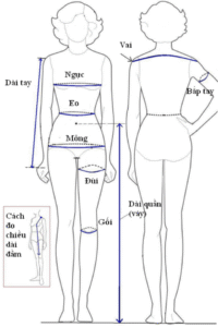 hướng dẫn đo vòng ngược vòng eo 