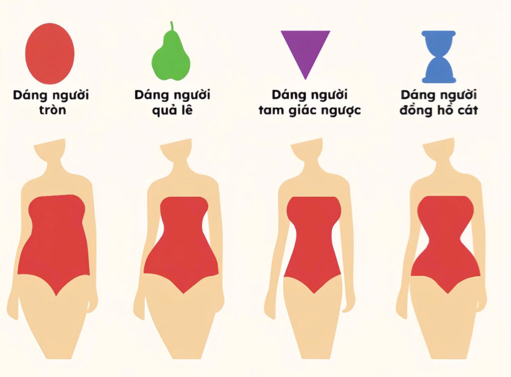 bảng các dáng người